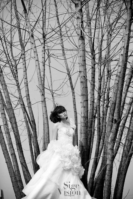 2013年婚纱摄影样片